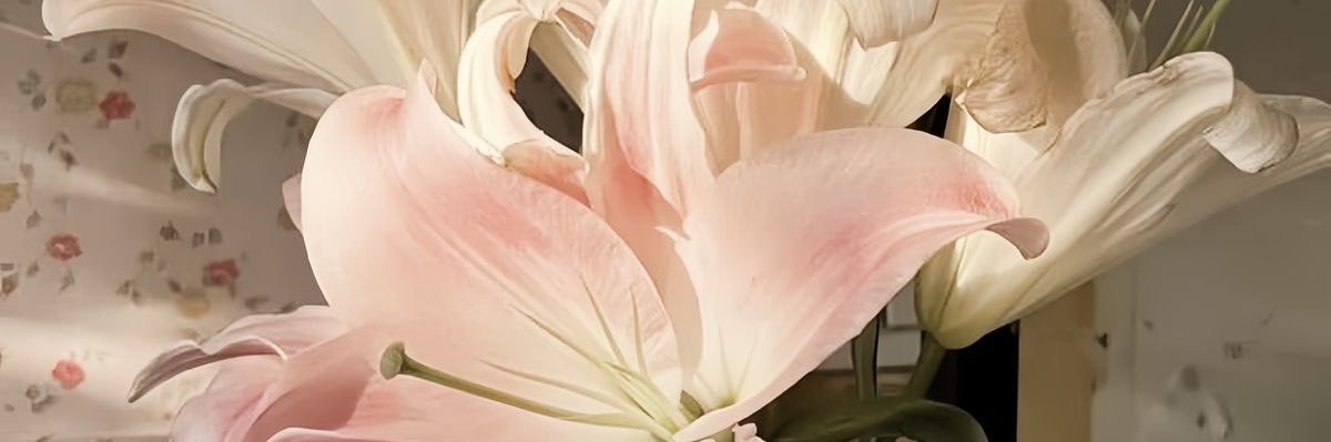 ★ banner