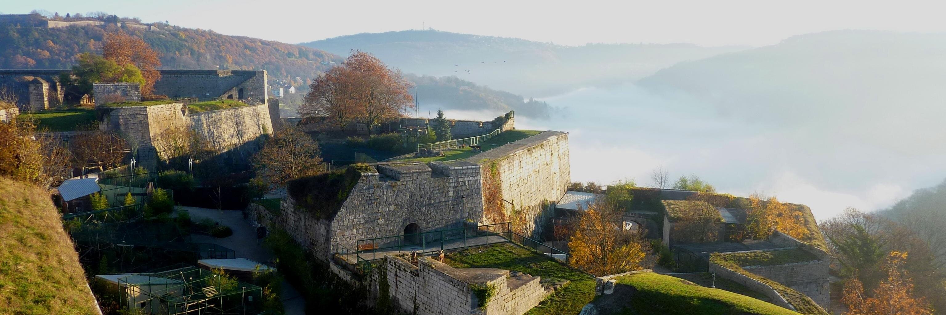 ZooCitadelle's profile banner image