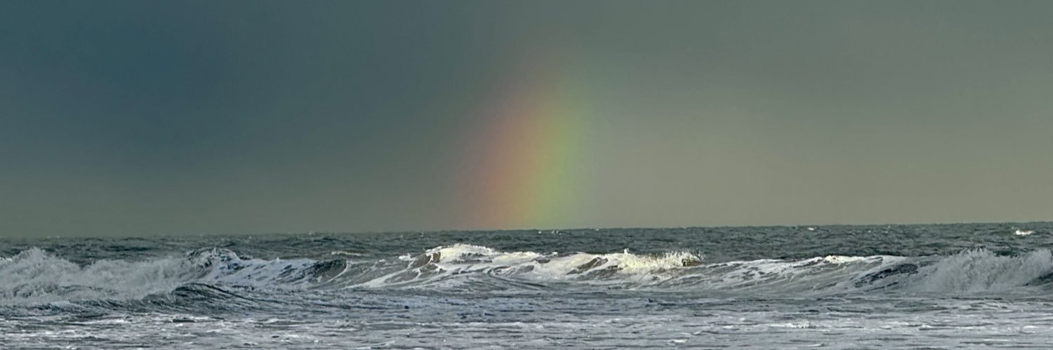 Ginger 🇺🇸 banner