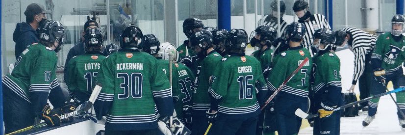 Irish Bantam AA banner