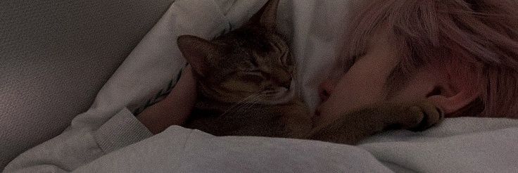 heechiest's profile banner image