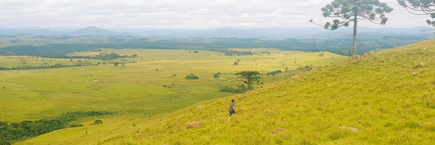 Marlon Martins banner