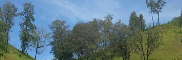 kasela_'s profile banner image