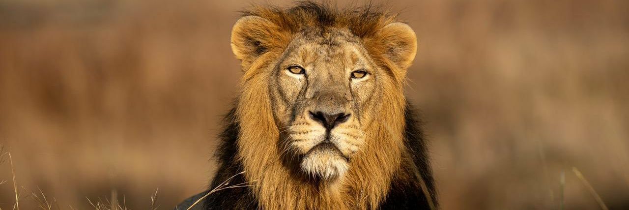 देवकांत फौजदार banner