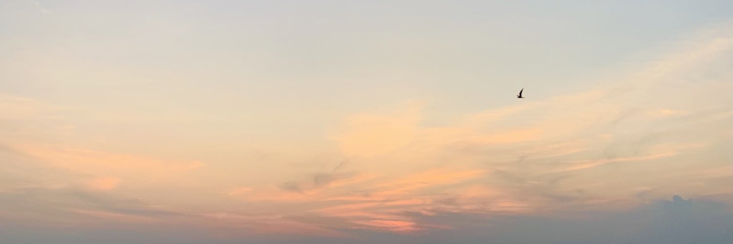 polapeslyak's profile banner image