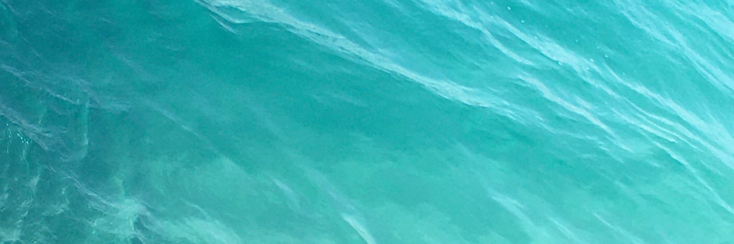 ayamenonno's profile banner image