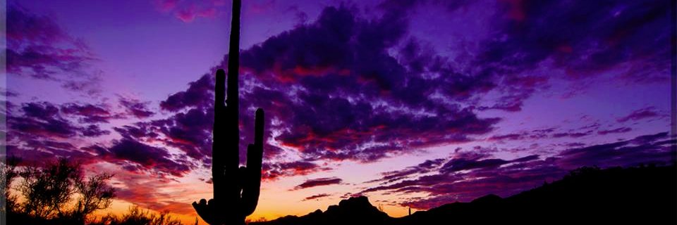 Deep Thoughts by Jack Handey banner