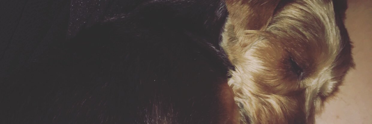 MikeeBradley's profile banner image