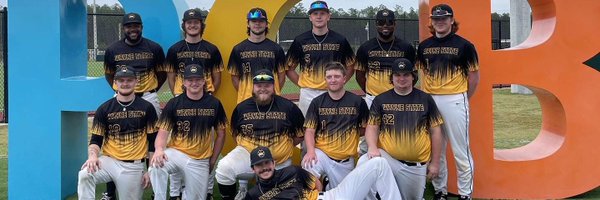 WayneStateBase1 Profile Banner