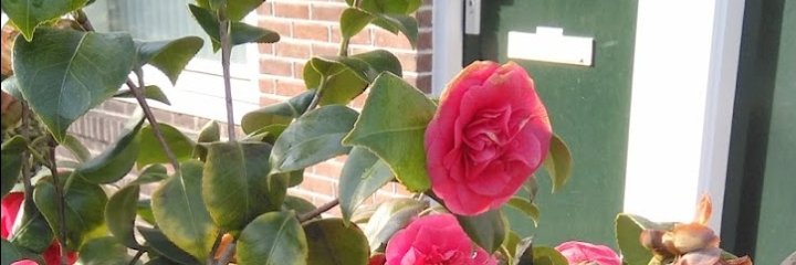 mfatihad's profile banner image