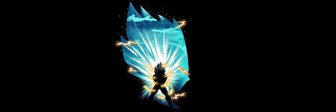 VegetaCryptoI's profile banner image