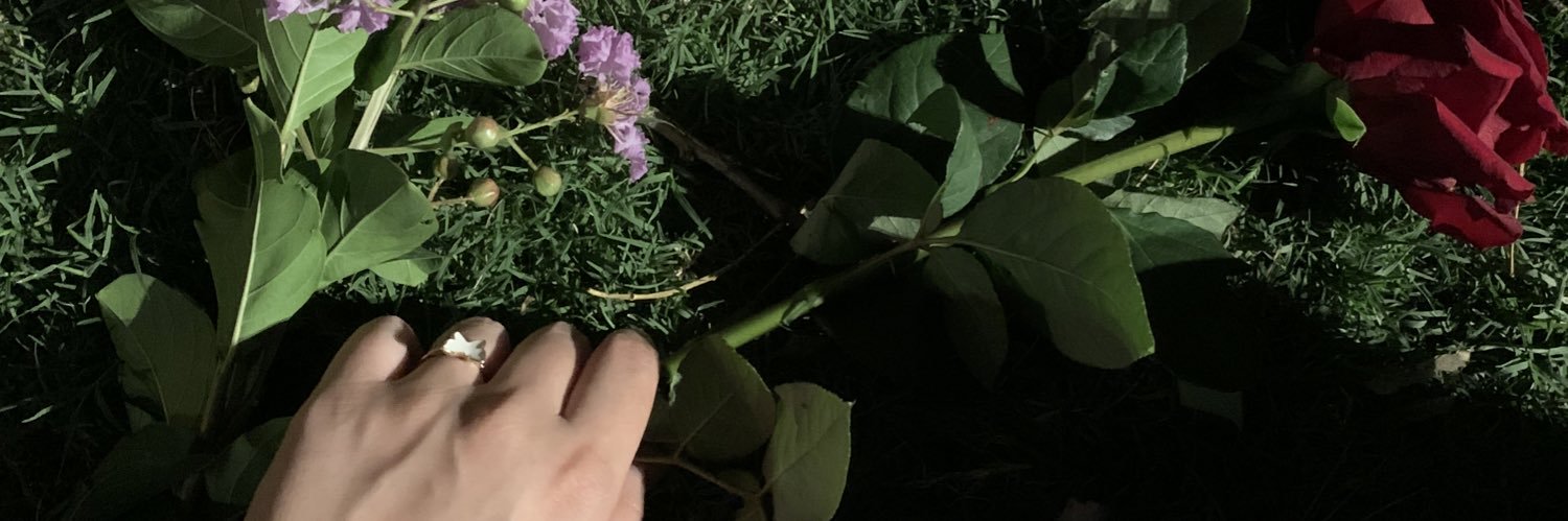 laibrador's profile banner image