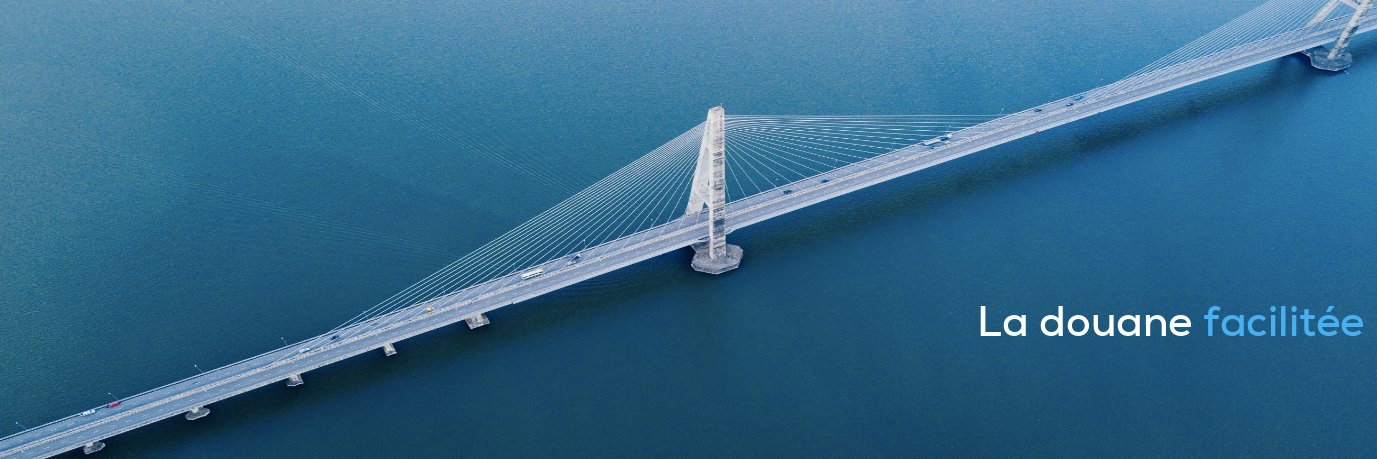 Customs Bridge banner