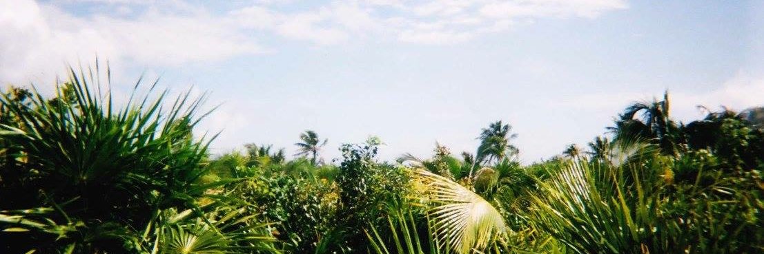heux's profile banner image