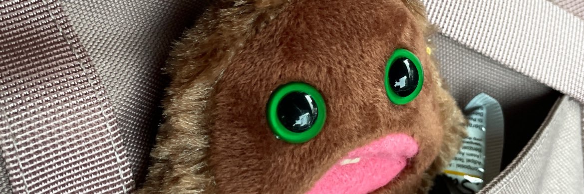 neverttheless's profile banner image