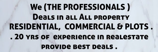 The Professionals Profile Banner