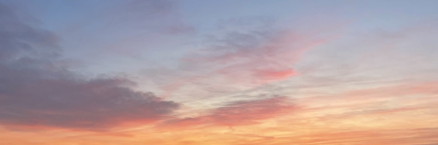 Palomatm2's profile banner image