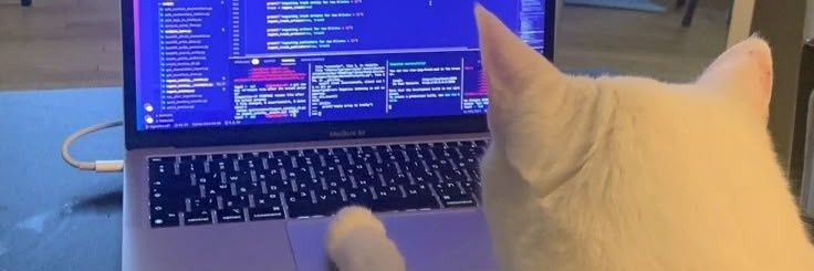 Ignitemyluvv's profile banner image