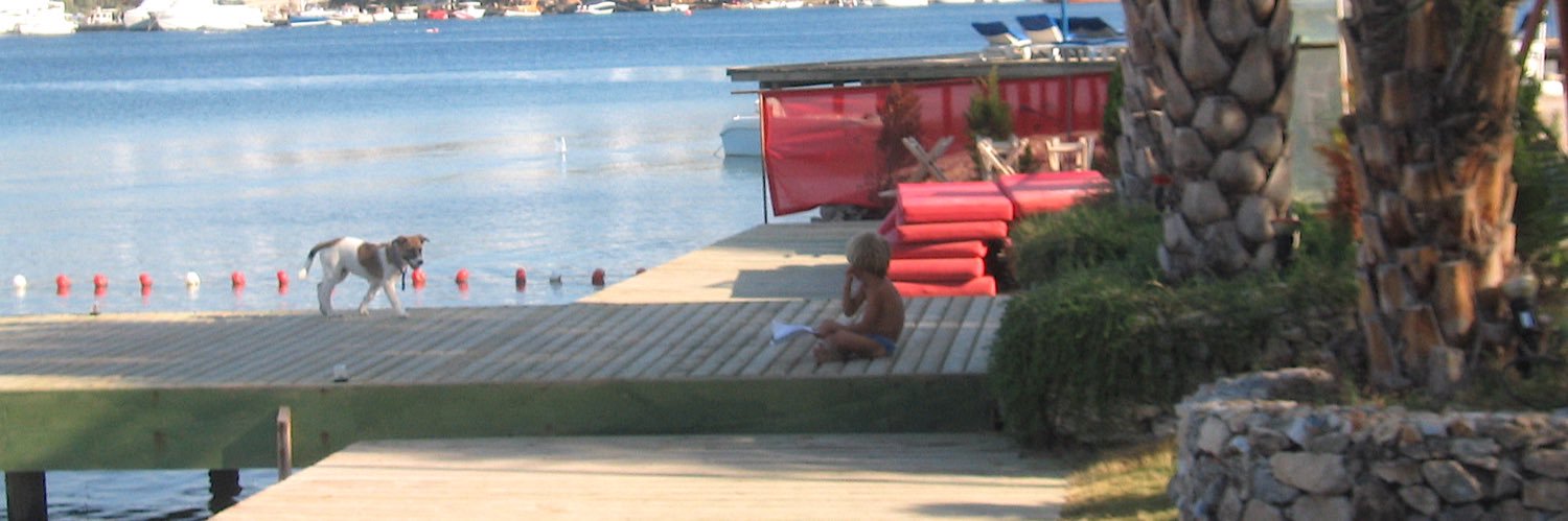 vivet kanetti uluç banner