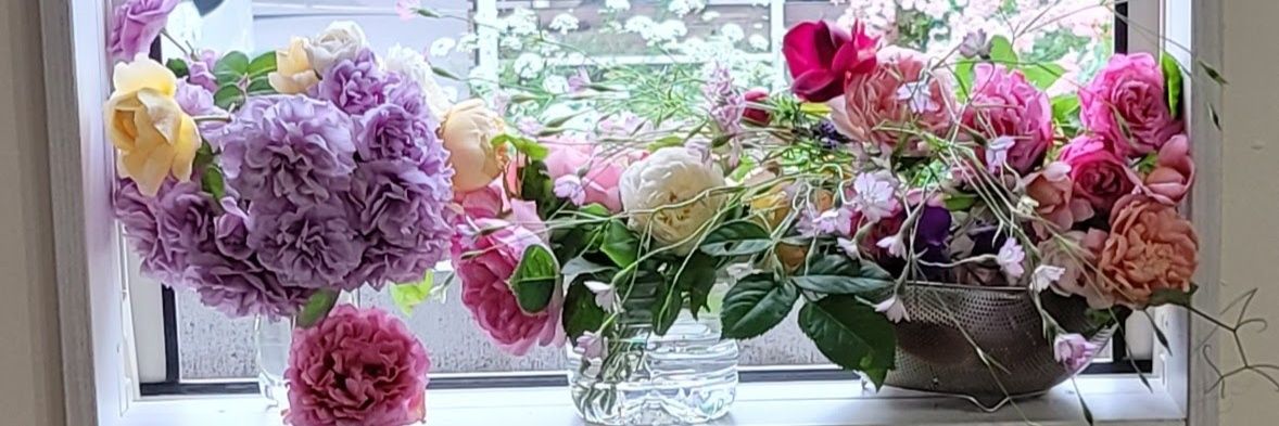 RosesK27185253's profile banner image