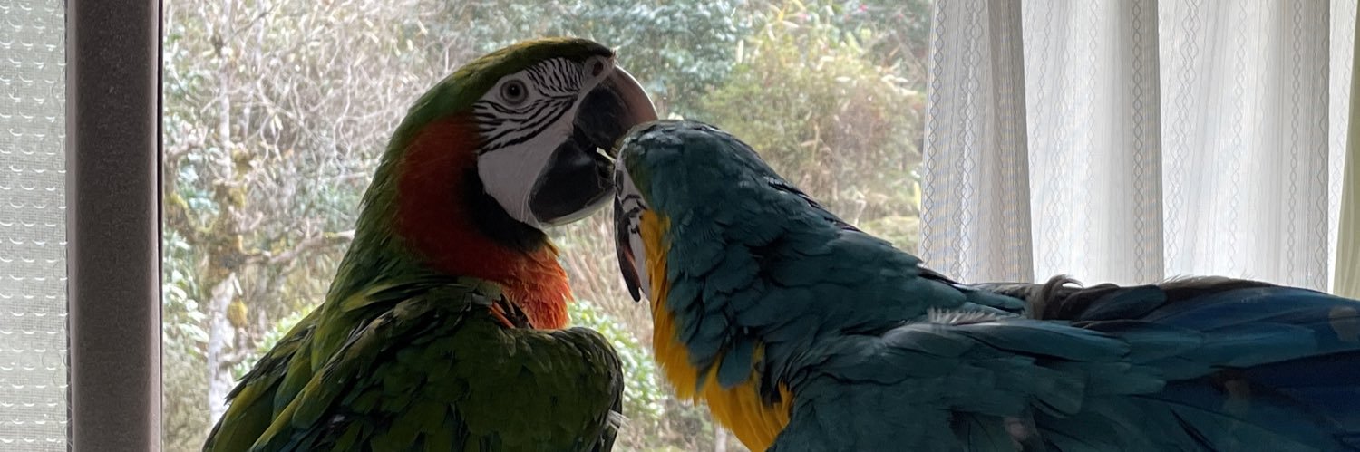 precious-bird2020 banner