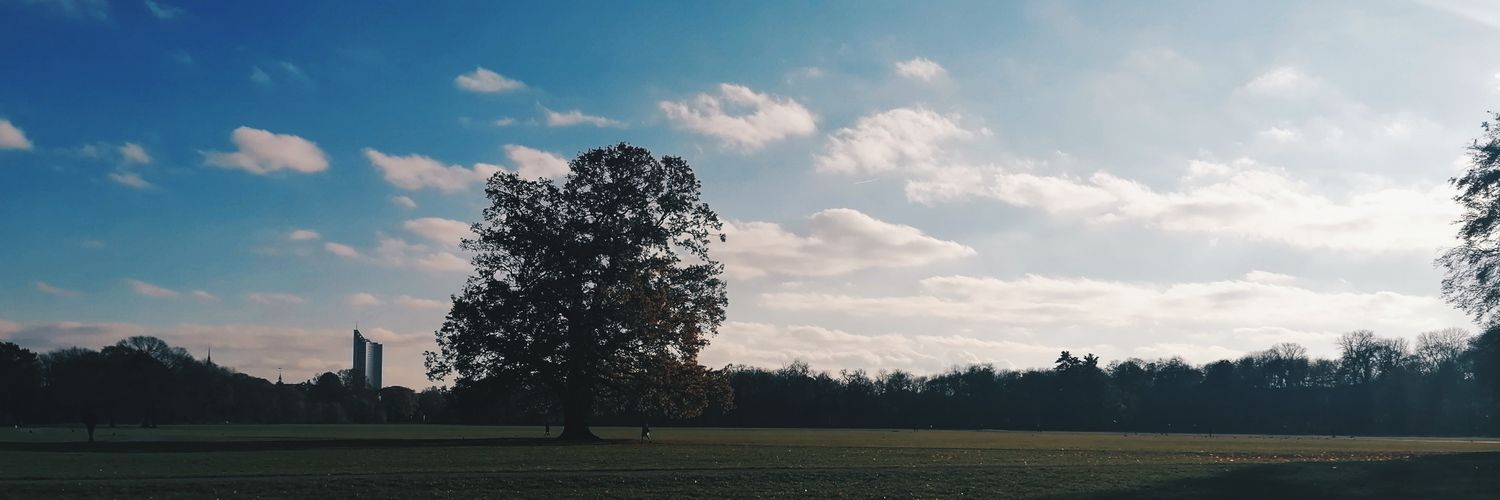 vnssgrgr's profile banner image