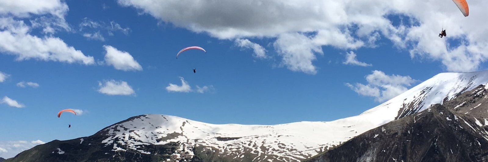 Simone Weimans banner