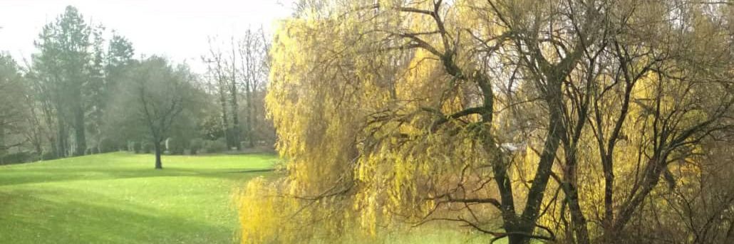 Department of Organism Biology - DBO banner