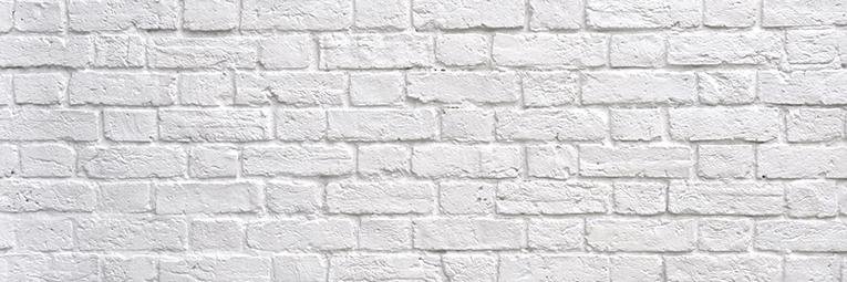 wearwild's profile banner image