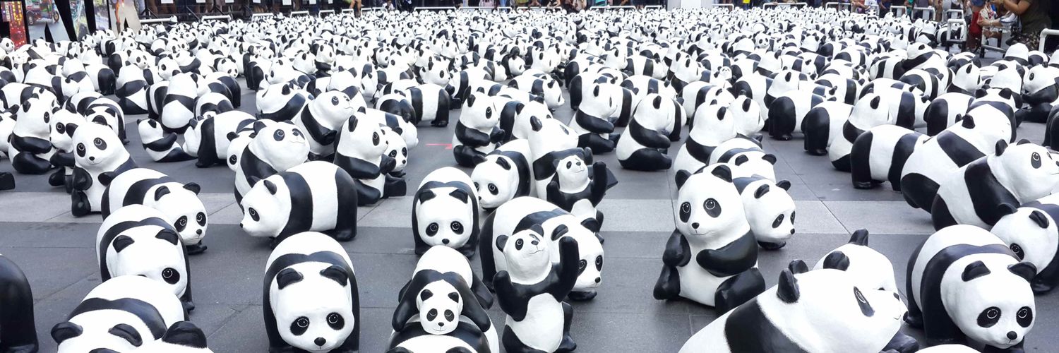 Синій кіт просто зараз грає зi сонечком banner