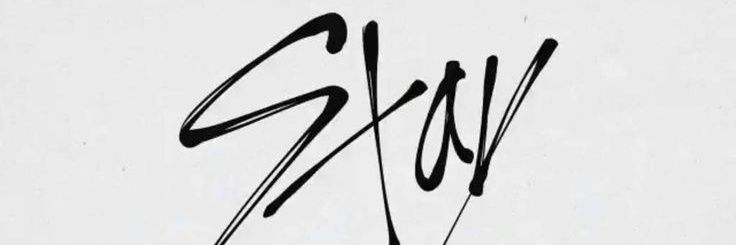 shoybeans's profile banner image