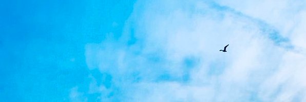 NotesLife's profile banner image