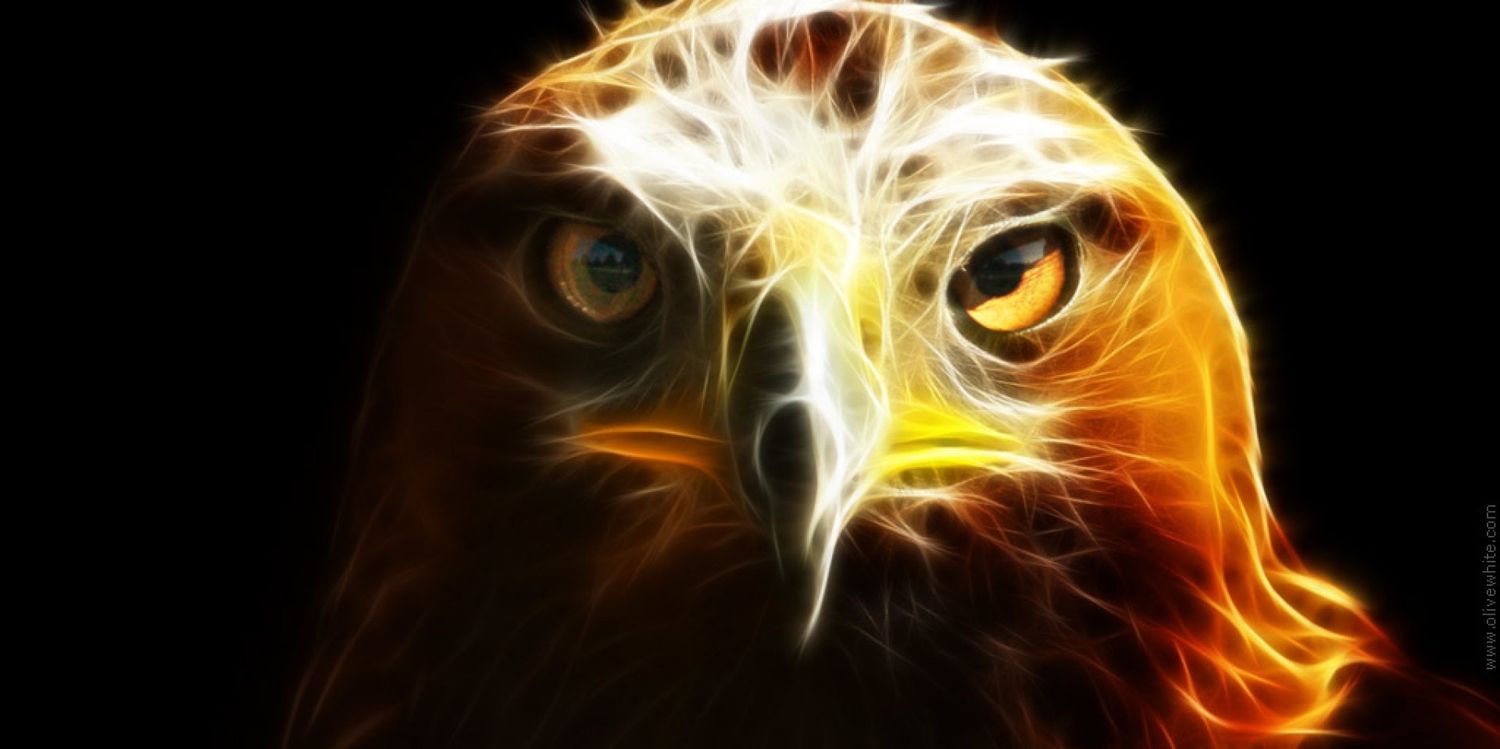 DeeNaicker's profile banner image