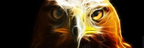 DeeNaicker Profile Banner