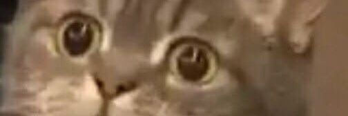 Сергей с функцией жопа banner