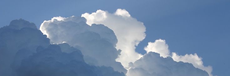 _ocampograce's profile banner image