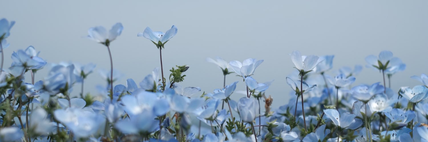 むぎ@初マタ 22w👶 banner