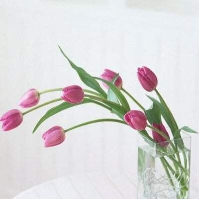 RatNa2103's profile banner image
