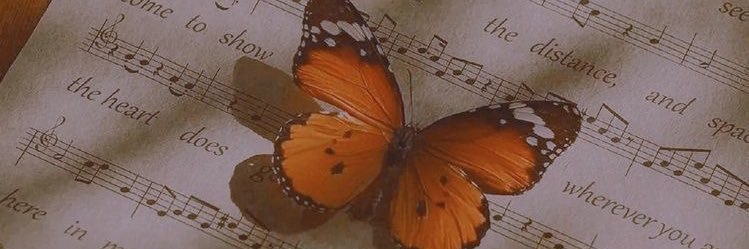 23chamomile's profile banner image