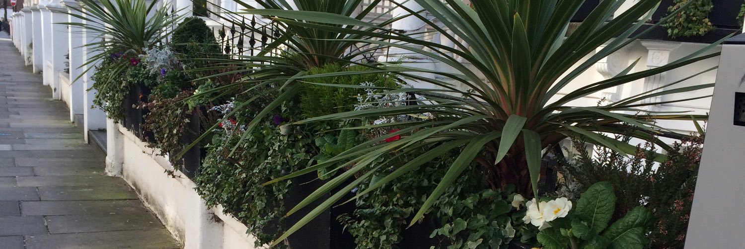 chloeoates_'s profile banner image