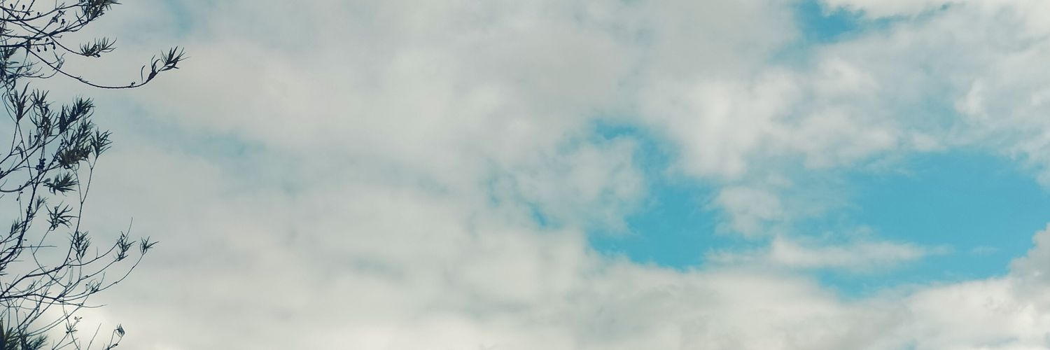 Sonia Trillo 🖤✌️ banner