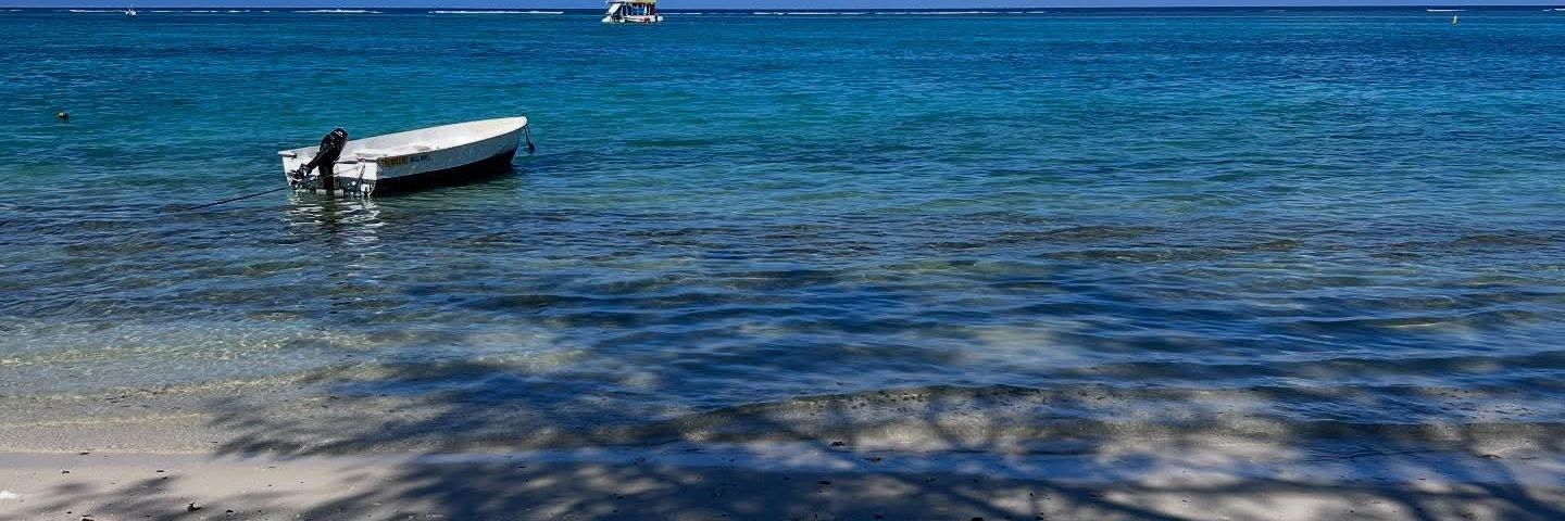 Queen of Africa banner