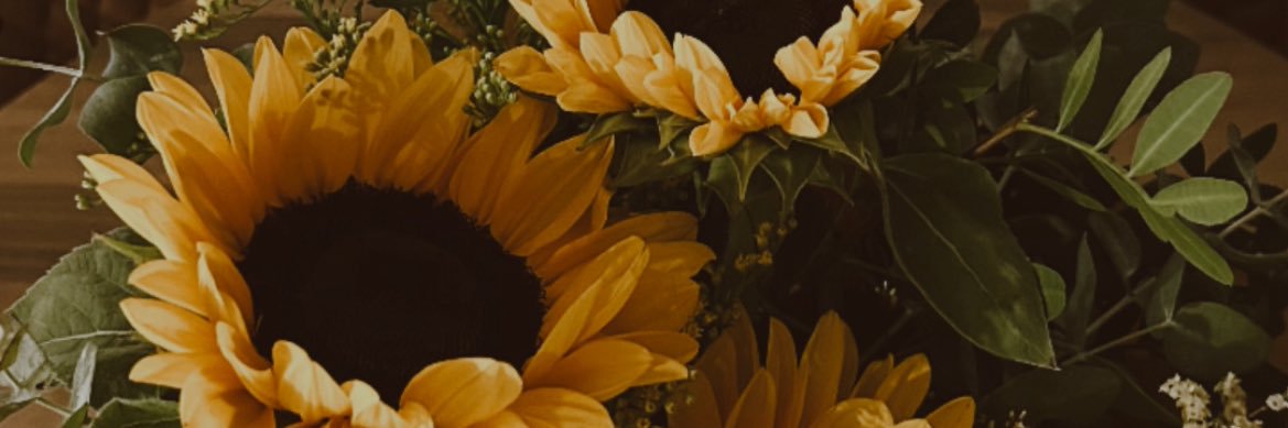 LolaObf's profile banner image