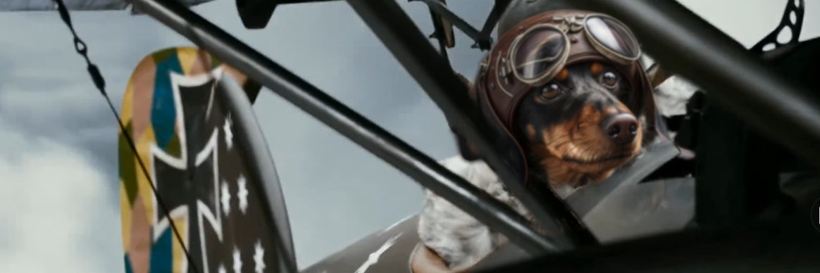Mr. Sausage banner