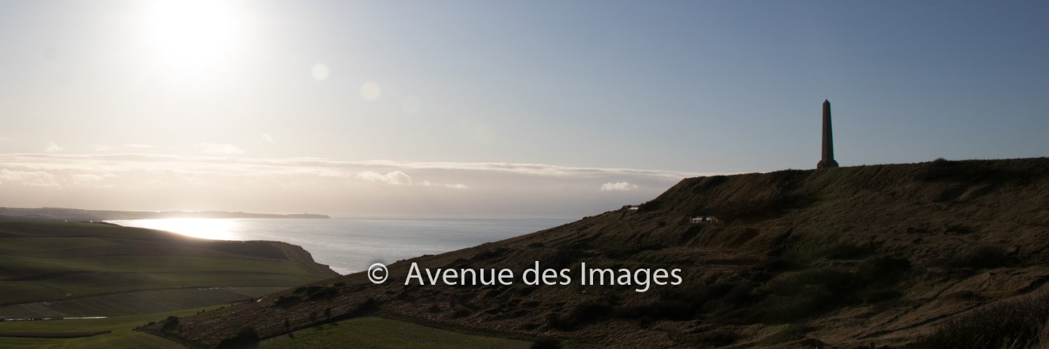 Avenue des Images banner