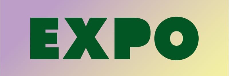 Falla Exposición banner