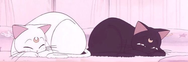 𝗁𝗈𝗍 𝗀𝖾𝗆𝗂𝗇𝗂 𝗀𝗂𝗋𝗅's banner