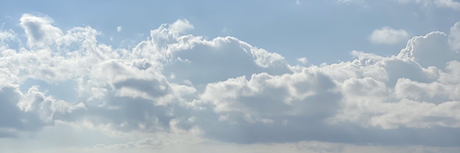 renojDev's profile banner image