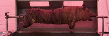 hogskisses's profile banner image