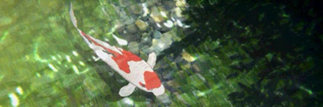 intykat's profile banner image